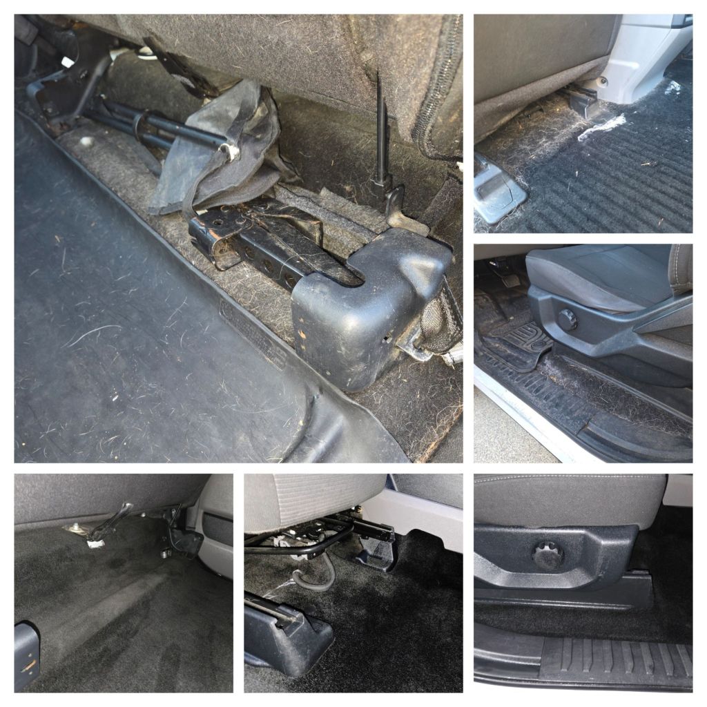 Before and After Photos Showing Heavy Pet Hair Meticulously Removed From Interior Carpeting